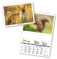 Wildlife in Britain Postage Saver Calendar