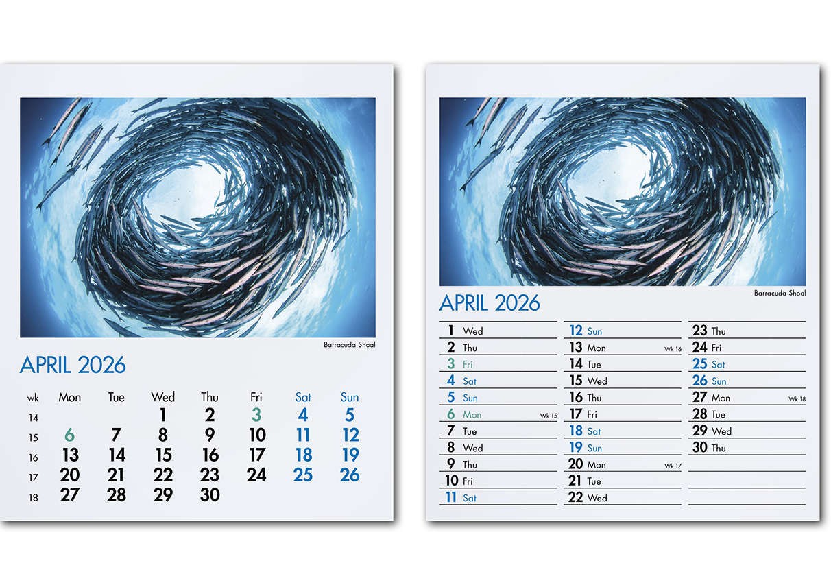 Blue Planet Mini Desk Calendar