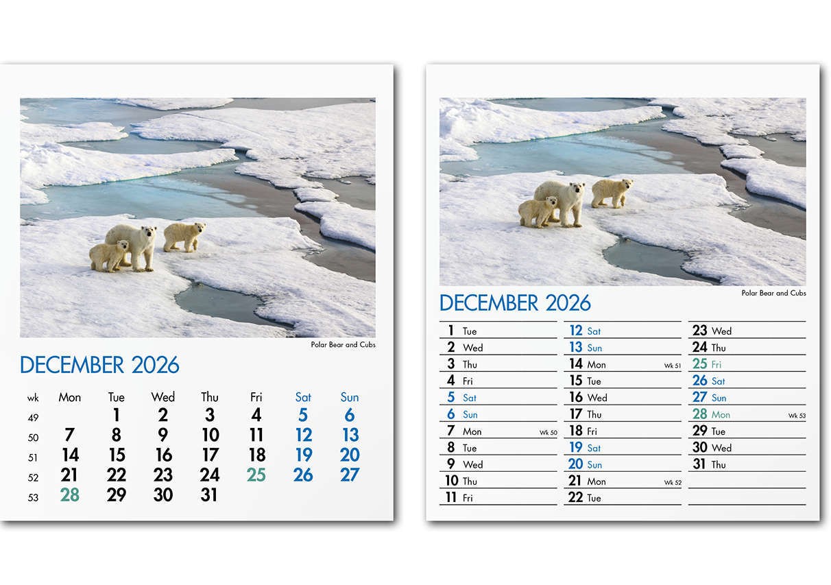 Blue Planet Mini Desk Calendar