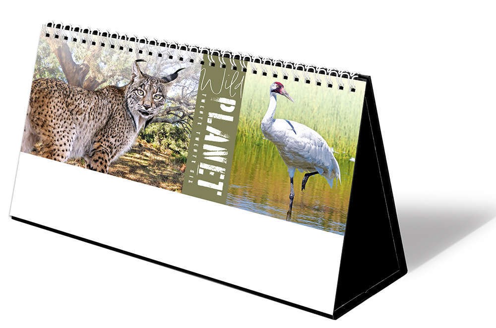 Wild Planet Premium Lined Easel Desk Calendar