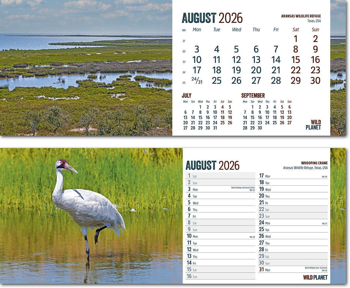 Wild Planet Premium Lined Easel Desk Calendar