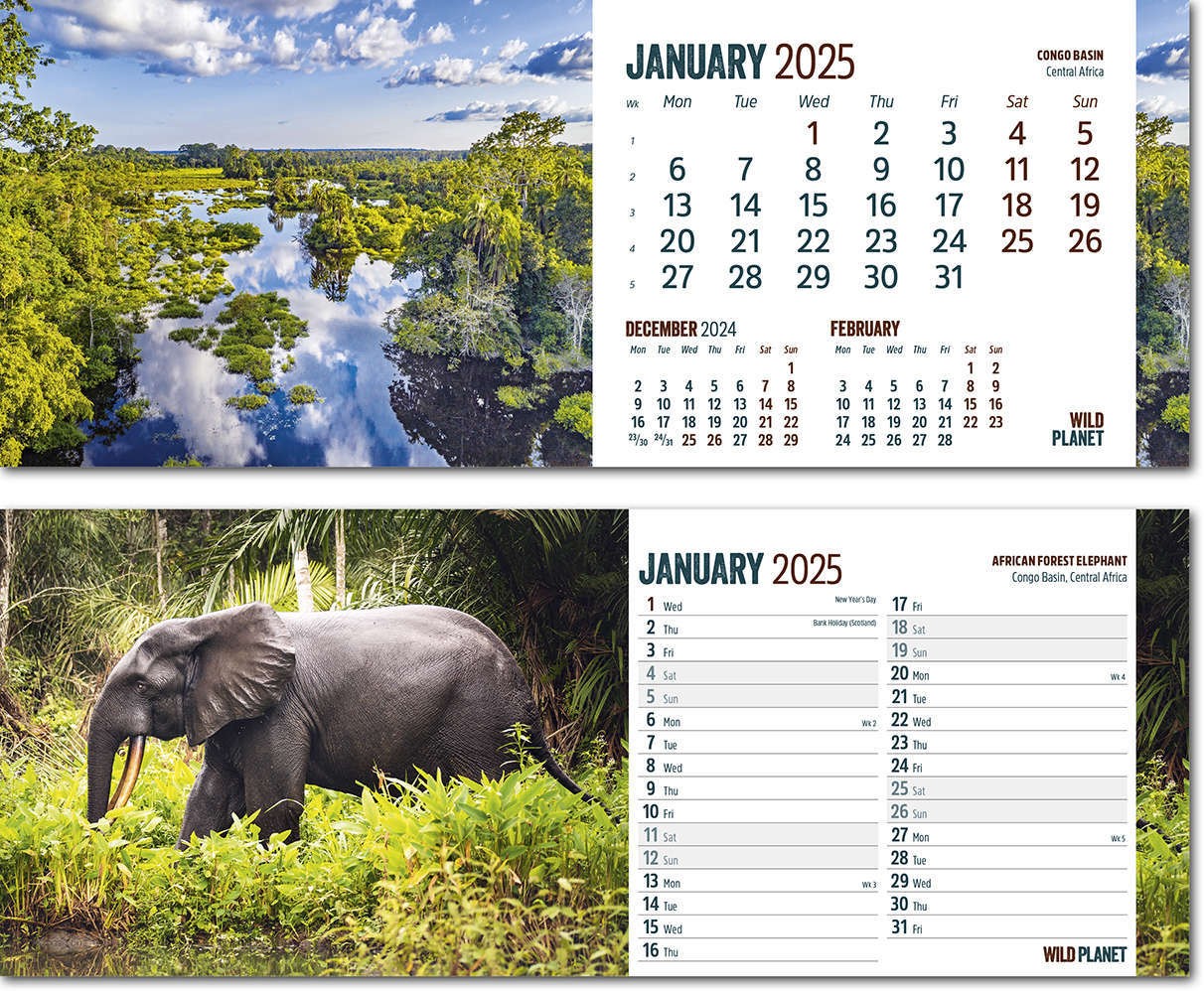 Wild Planet Premium Lined Easel Desk Calendar