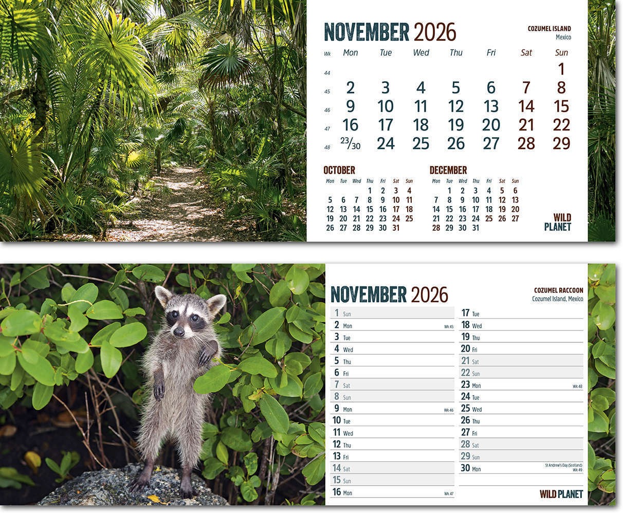 Wild Planet Premium Lined Easel Desk Calendar