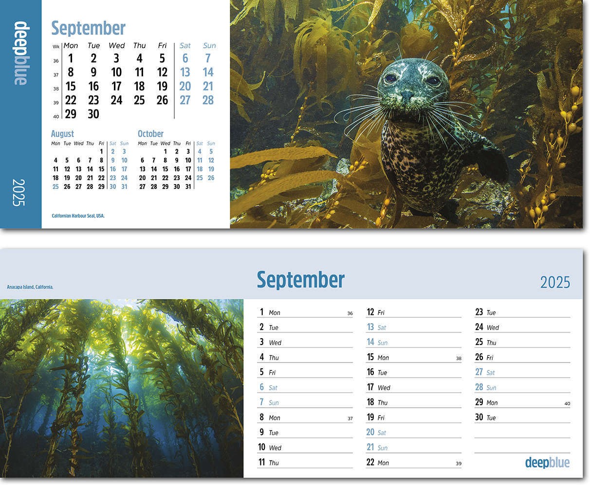 Deep Blue Note Station Desk Calendar