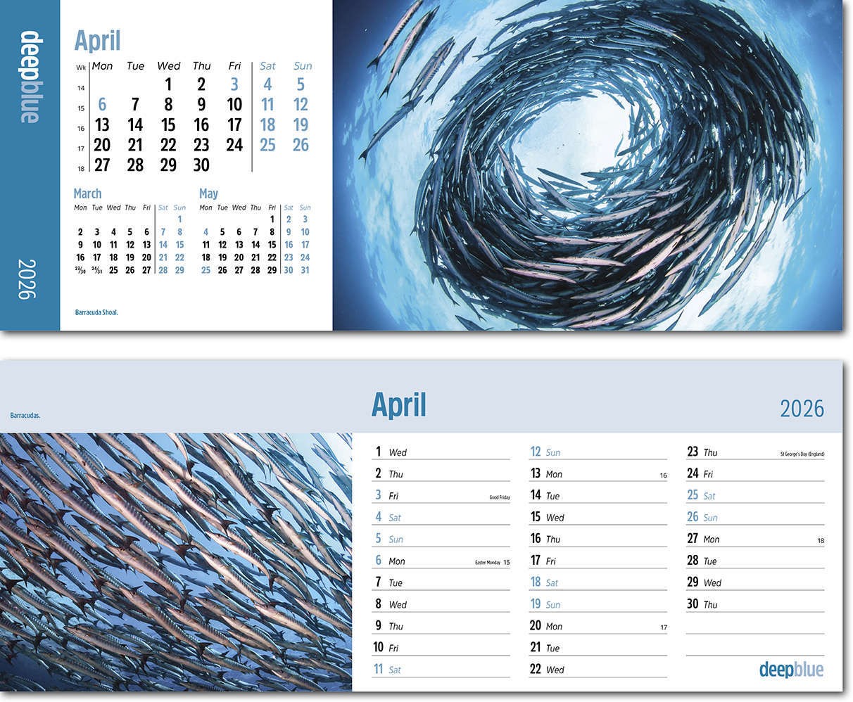 Deep Blue Task Station Desk Calendar