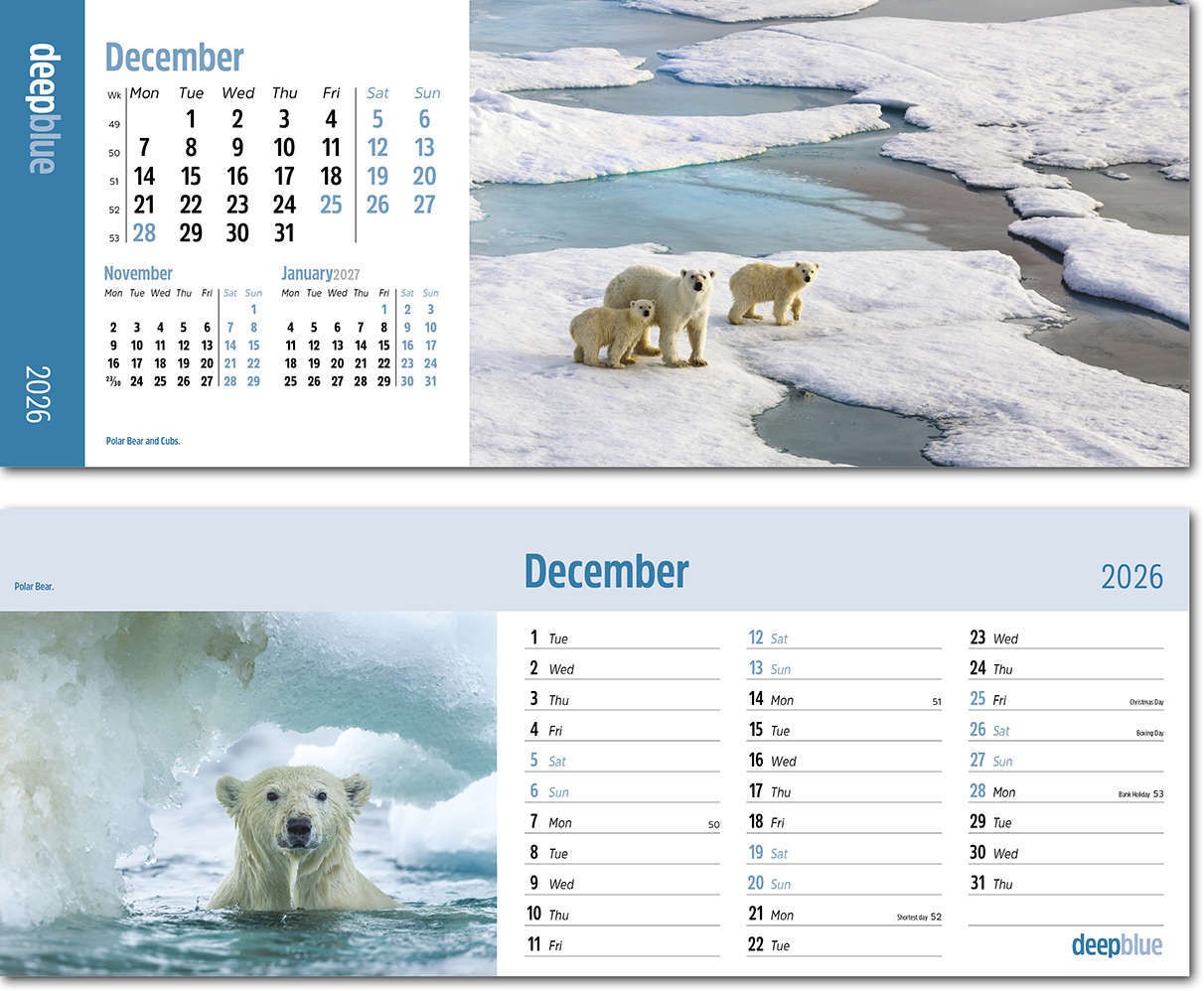 Deep Blue Task Station Desk Calendar