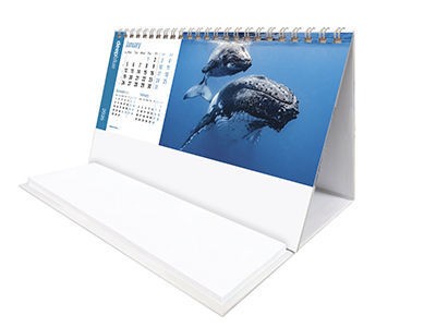 Deep Blue Task Station Desk Calendar