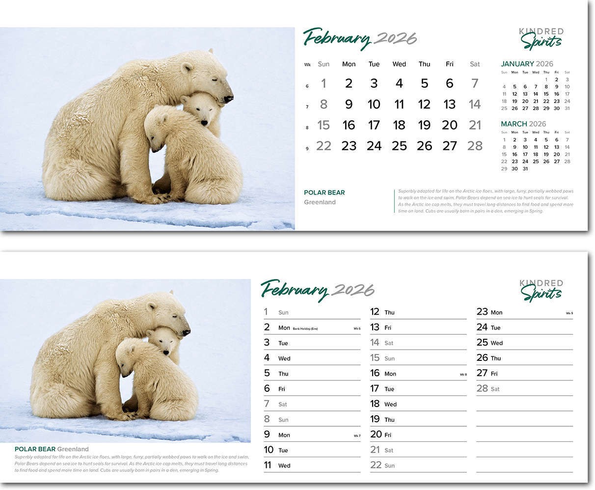 Kindred Spirits Note Station Desk Calendar