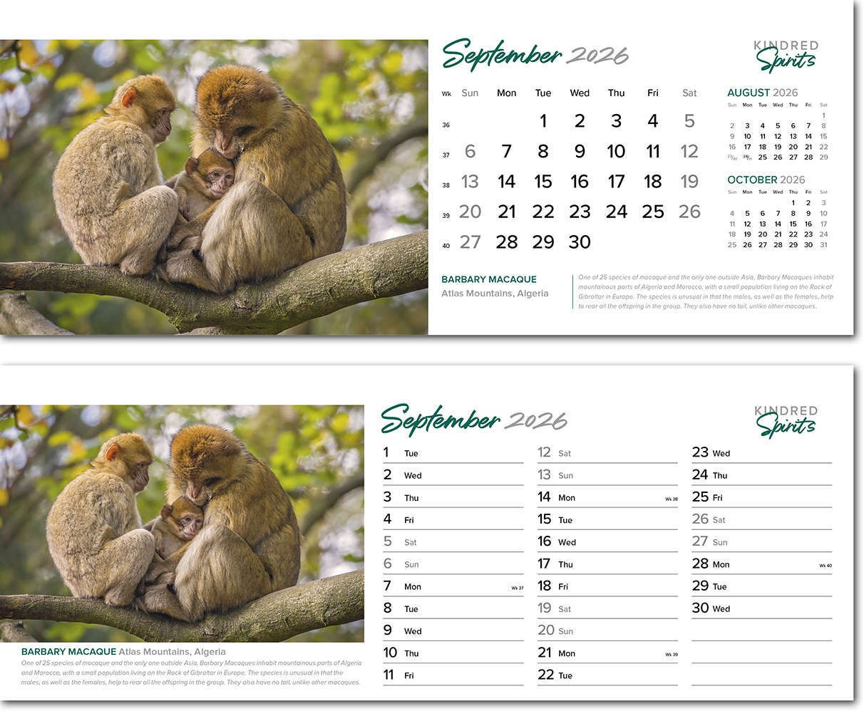 Kindred Spirits Note Station Desk Calendar