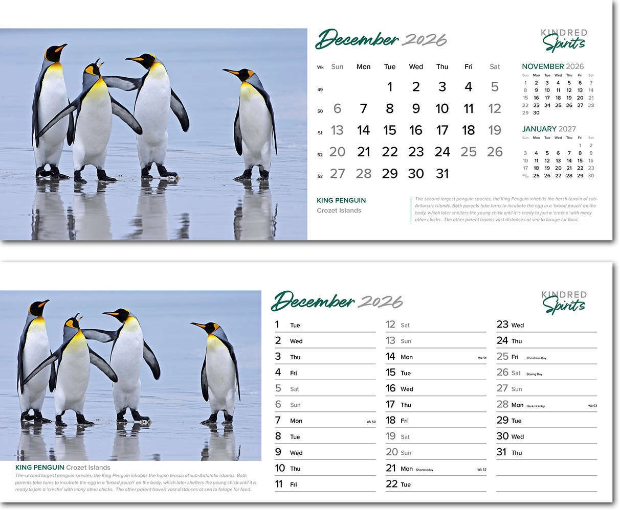 Kindred Spirits Premium Lined Easel Desk Calendar