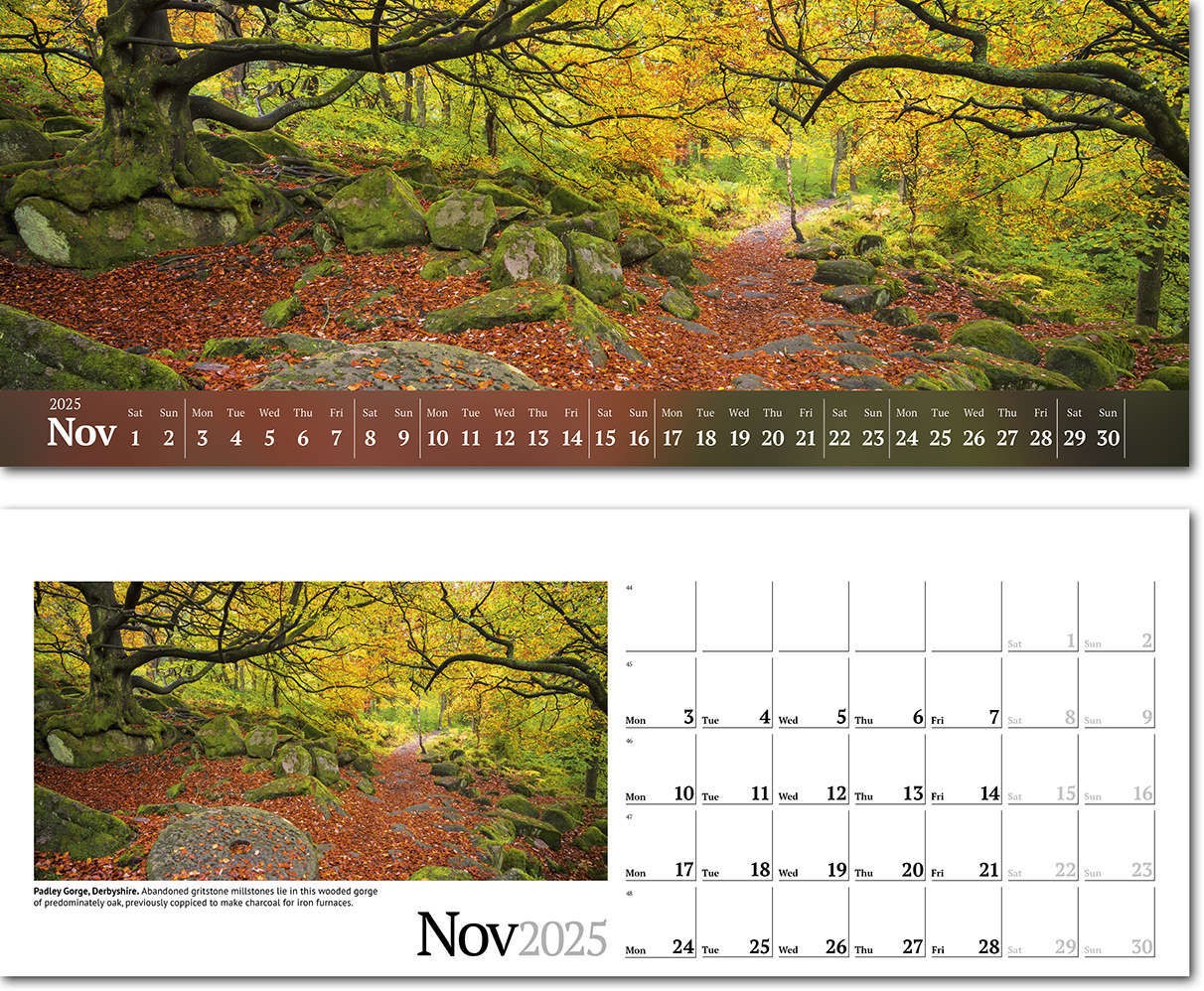 Wild Britain Note Station Desk Calendar 