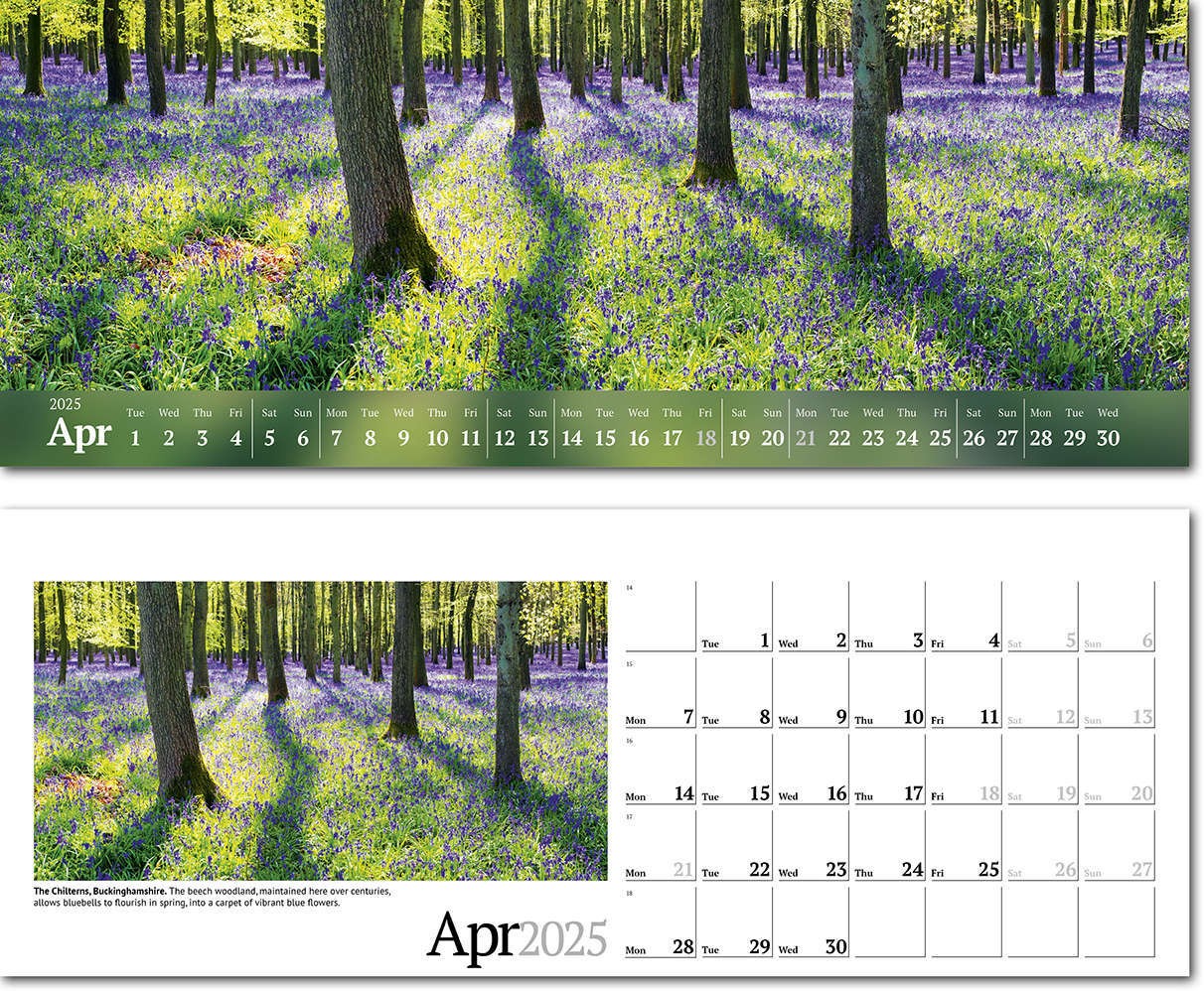 Wild Britain Premium Lined Easel Desk Calendar
