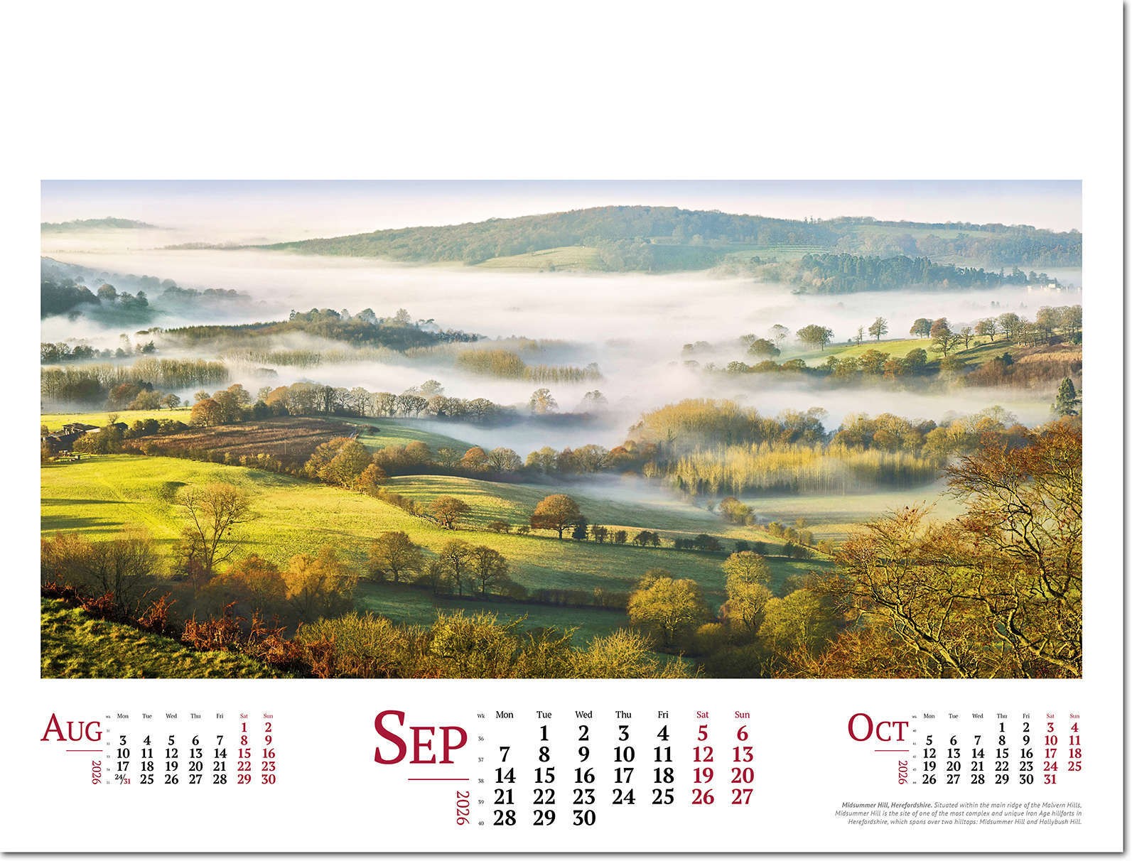 Wild Britain Wall Calendar