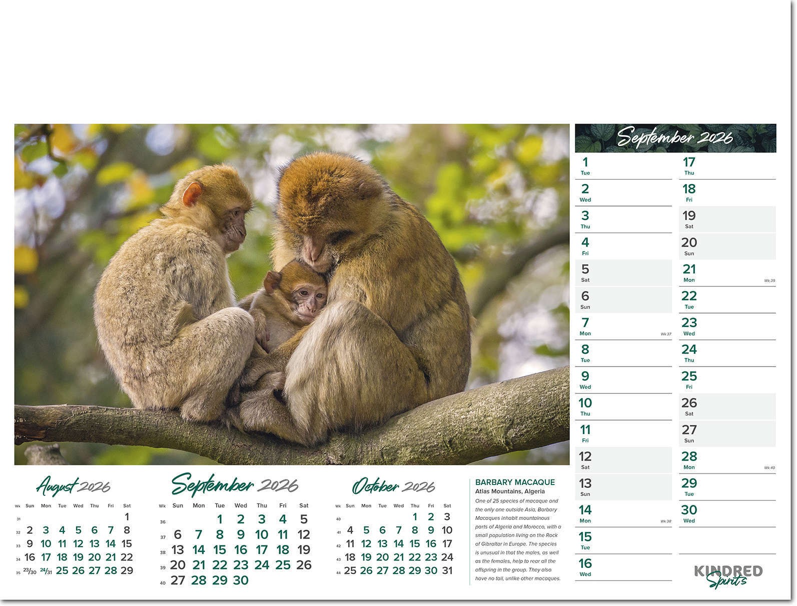 Kindred Spirits Calendar