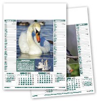 British Birds Calendar