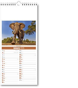 Slimline World Wildlife Compact Calendar